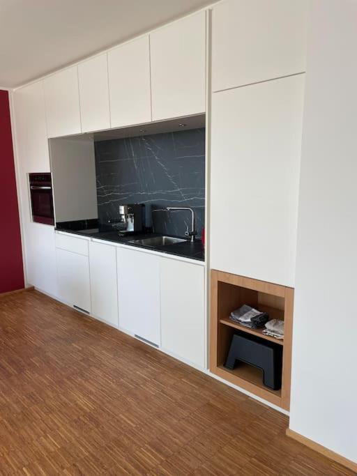 Penthouse-Wohnung Mit Flussblick Oldenbourg Extérieur photo